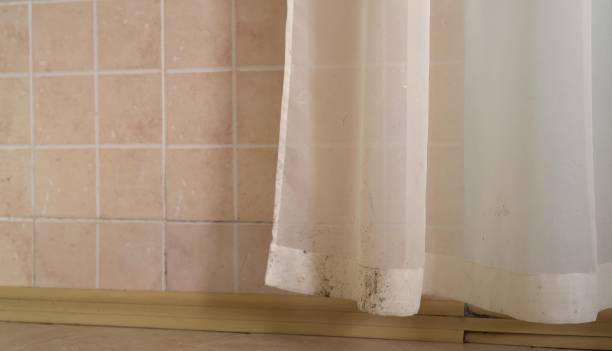 Mold Remediation for Rental Properties in Fitchburg, MA