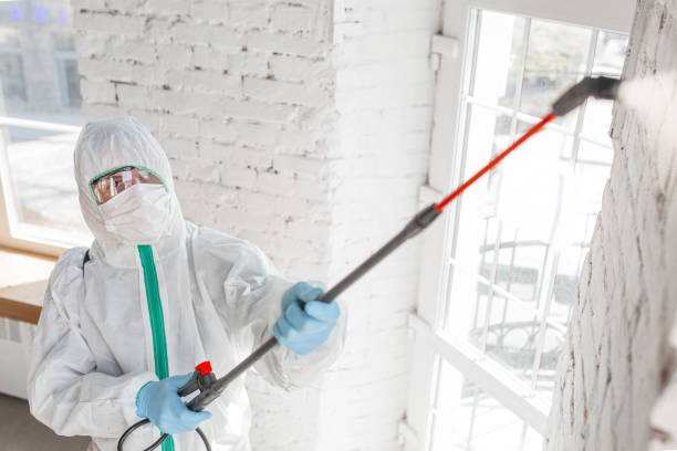 Best Mold Prevention Services  in Fitchburg, MA