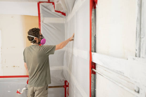 Best Attic Mold Removal  in Fitchburg, MA