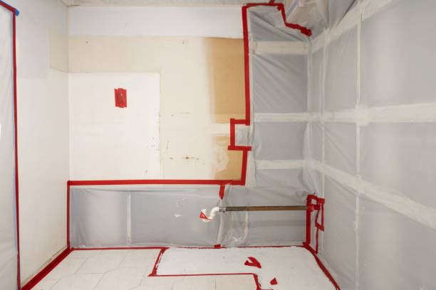 Best Environmental Consulting for Mold Prevention  in Fitchburg, MA