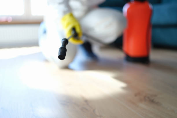 Best Post-Remediation Verification Testing  in Fitchburg, MA