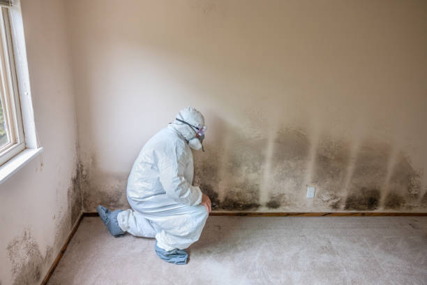 Best Biohazard Mold Removal  in Fitchburg, MA