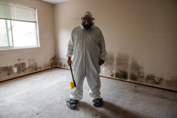 Best Post-Construction Mold Inspection  in Fitchburg, MA