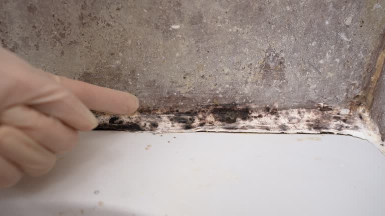 Best HVAC Mold Inspection and Cleaning  in Fitchburg, MA